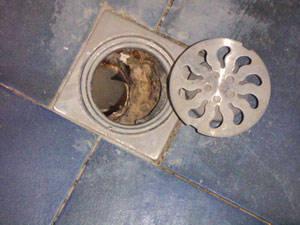 �V�ݽ�����ˮ����