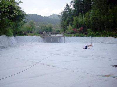 ������������(ji��n)�鼰��(y��ng)�÷���