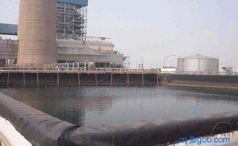 ����Ĥ�ڴ�Ή��w�Ľ؝BҪ�� ��	