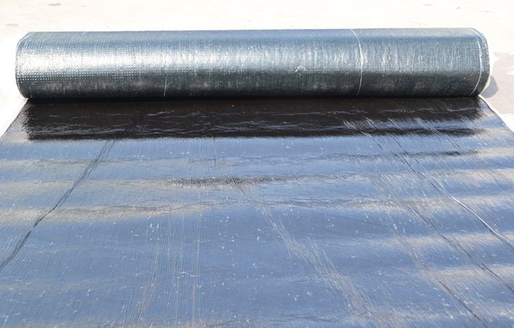 ���͞r�����