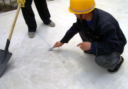 �P�����������۵ȸ����