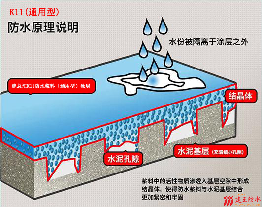 K11防水漿料通用型 K11防水漿料通用型